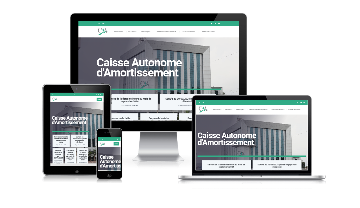 Aperçu d'une réalisation web